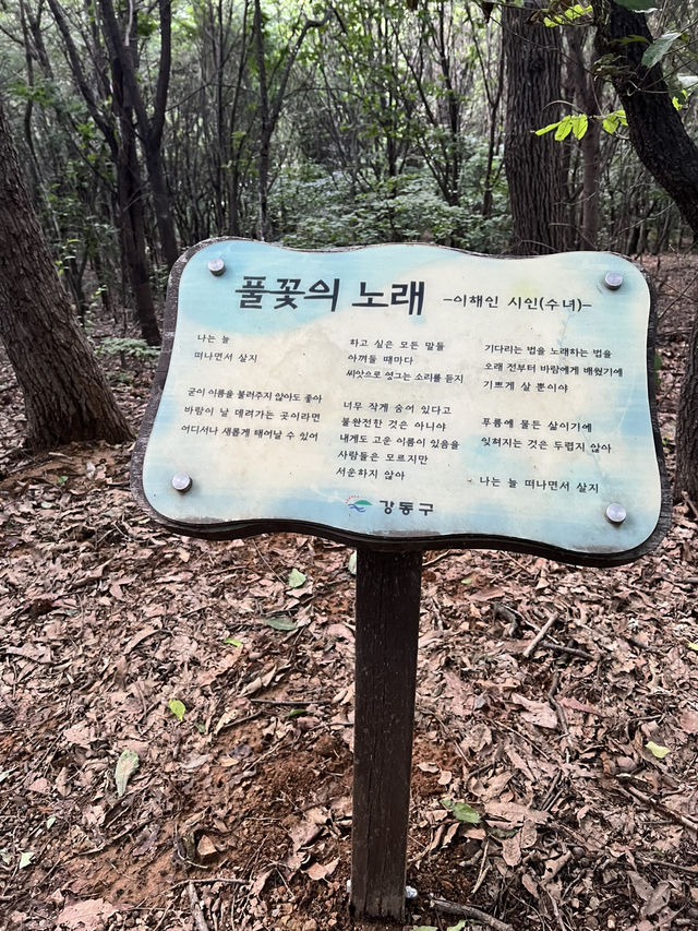 서울 둘레길 걸어보기