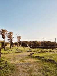 A Photographer's Dream for Rustic Coastal Scenery
