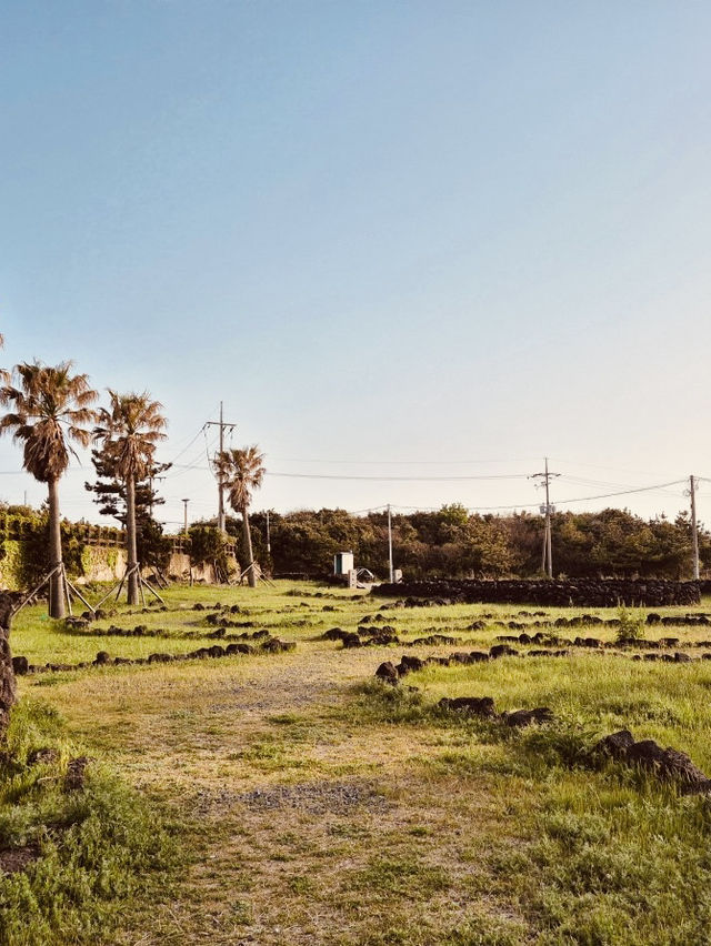 A Photographer's Dream for Rustic Coastal Scenery