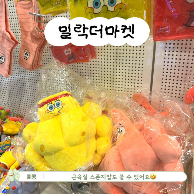 부담없는 부산 광안리 당일치기 여행 코스!🌊