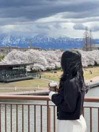 Toyama เมืองที่ห้อมล้อมด้วยภูเขา!