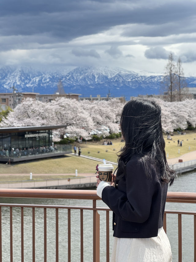 Toyama เมืองที่ห้อมล้อมด้วยภูเขา!