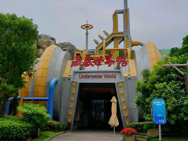 A Stroll Under the Sea in Shanghai Haichang Ocean Park