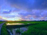 Tranquil Beauty