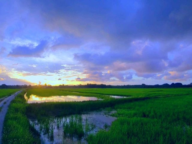 Tranquil Beauty