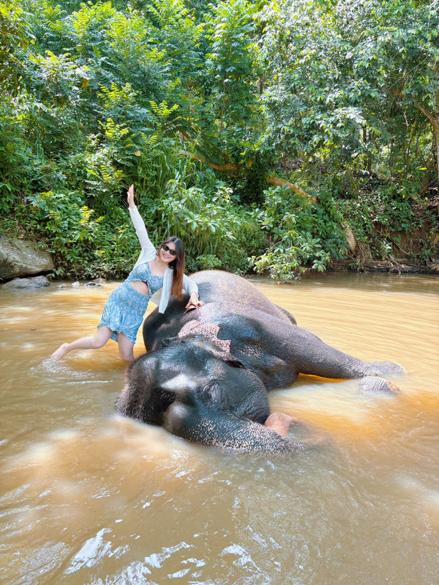 斯里蘭卡必去景點 🐘