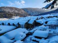 Snow Town Fairytale: The Winter Charm of Mushroom Houses