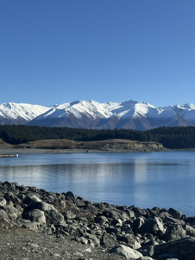 Tekapo - Lake, Dog statue & Church 