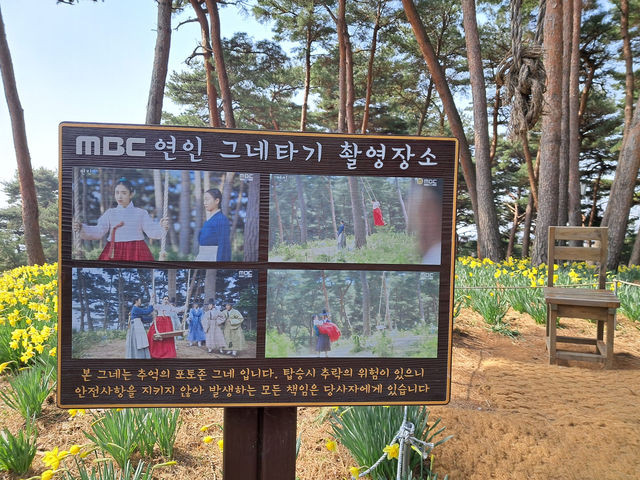 봄이 기다려지는 이유는 아름다운 수선화 때문!