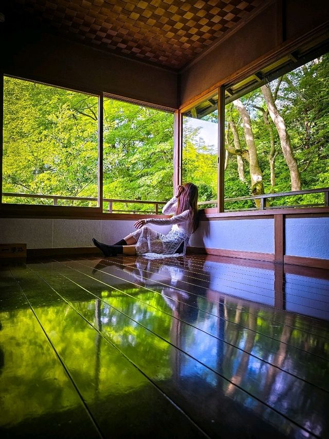 心に映る、青もみじのミラーワールド🪞🍃