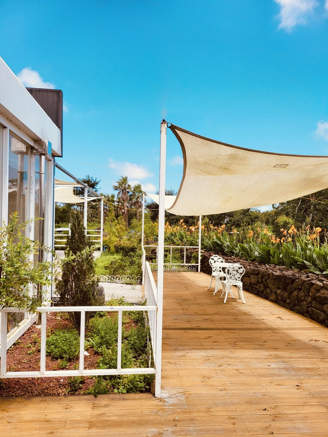A Charming Farm with Delightful Animal Encounters