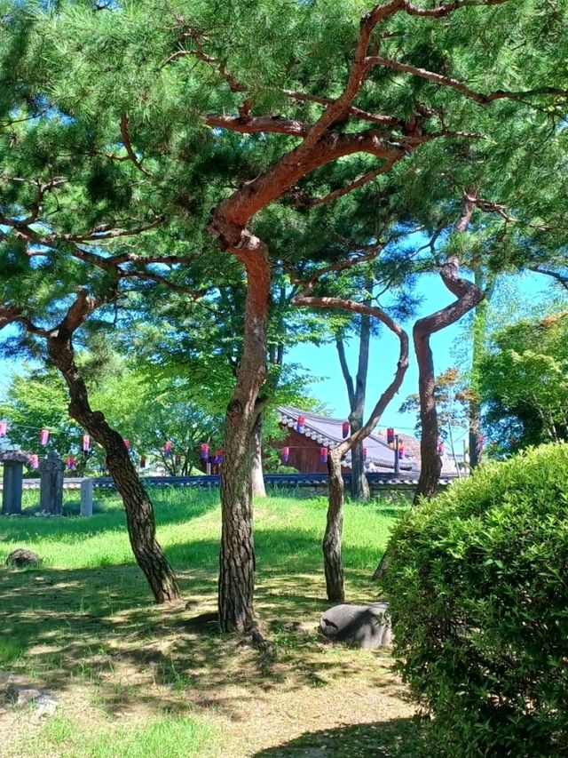 나른한 오후, 걷기 좋은 광한루원 🌤️
