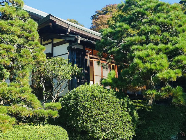 Jōmyō‑ji, the historic Zen Buddhist temple nestled in eastern Kamakura