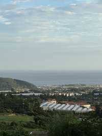 3박 4일 제주 – 바다, 오름, 감성 숙소에서 보내는 쉼표 같은 시간