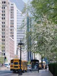 🌆 Chicago in Sunshine｜The Windy City’s Gentle Side