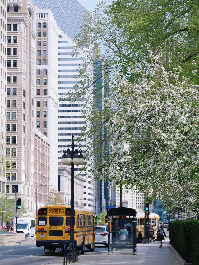 🌆 Chicago in Sunshine｜The Windy City’s Gentle Side