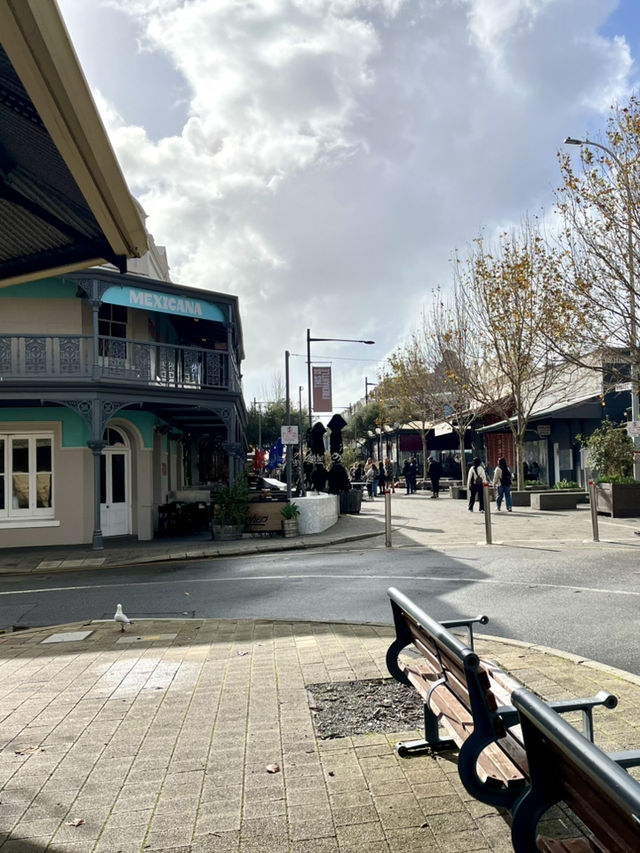 Timeless Beauty- Fremantle Street 