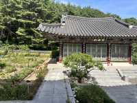 大邱🇰🇷｜大邱秘境古剎！符仁寺千年歷史與神秘四頭烏龜你看過嗎？🐢✨