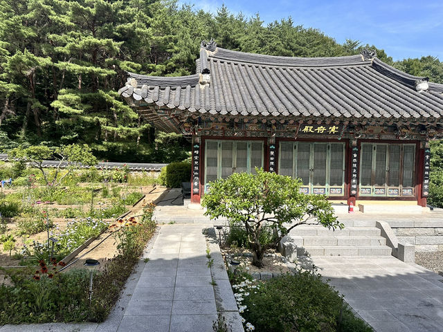 大邱🇰🇷｜大邱秘境古剎！符仁寺千年歷史與神秘四頭烏龜你看過嗎？🐢✨