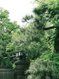 💧🏞️水と音がつなぐ非日常──品川・御殿山庭園の滝散歩