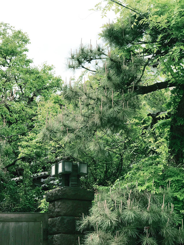 💧🏞️水と音がつなぐ非日常──品川・御殿山庭園の滝散歩 💧🏞️水と音がつなぐ非日常──品川・御殿山庭園の滝散歩