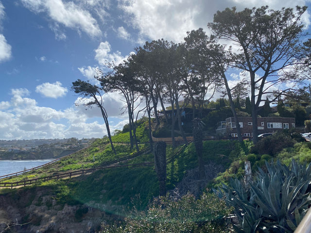 聖地牙哥 La Jolla 拉荷亞海灣 與海獅海豹一起賞日出