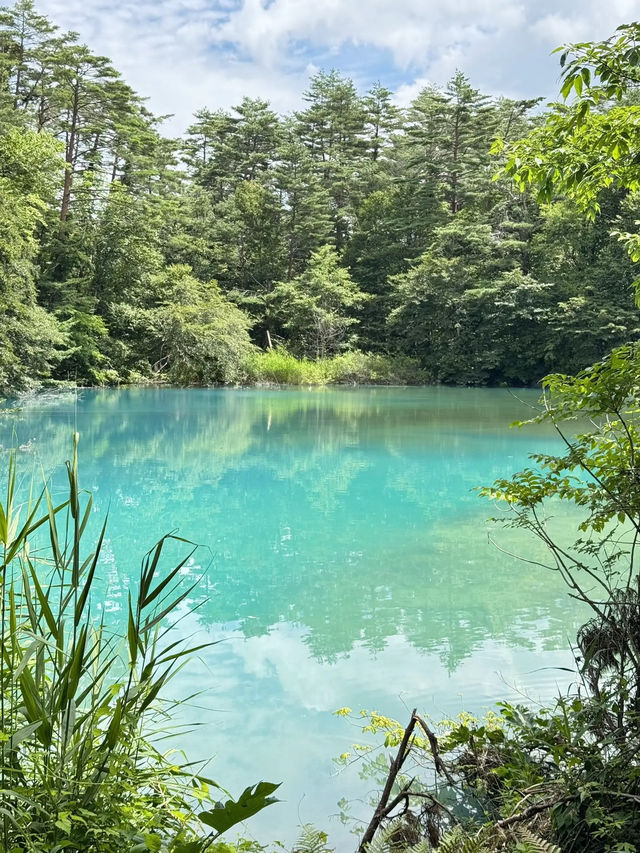 【福島】一生に一度は行きたい!!奇跡の絶景