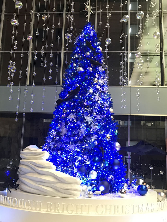 🌲2020年 東京丸の内クリスマスツリー と2025年に乞うご期待❣️