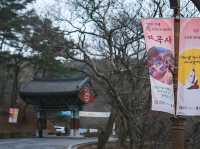 [공주] 산채정식으로 든든히 채우고, 마곡사 한 바퀴