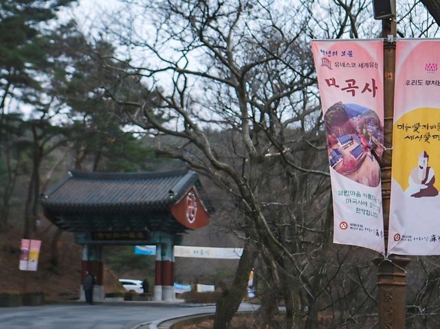 [공주] 산채정식으로 든든히 채우고, 마곡사 한 바퀴