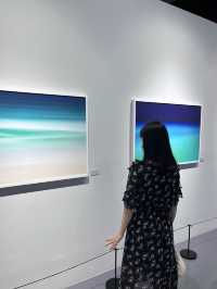 📍여수 핫플 아쿠아플라넷 탐방기🐠🖼️✨