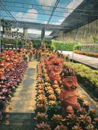 【タイ🇹🇭】パタヤの熱帯植物が楽しめる穴場観光地!