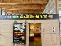 田沢湖駅 森と遺跡の展示室🚉🌿 站內發現考古驚喜！