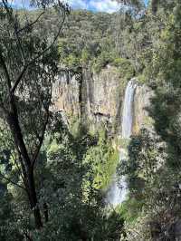 Purling Brook Falls – A Cascading Wonder of Springbrook National Park