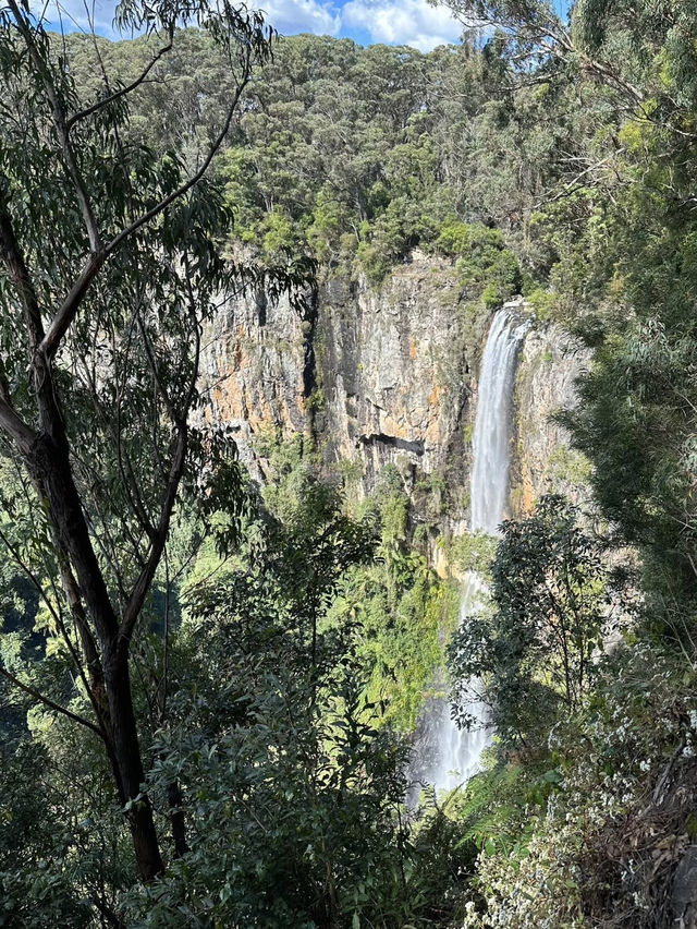 Purling Brook Falls – A Cascading Wonder of Springbrook National Park