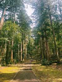 平泉寺 白山神社：靜謐的精神聖地