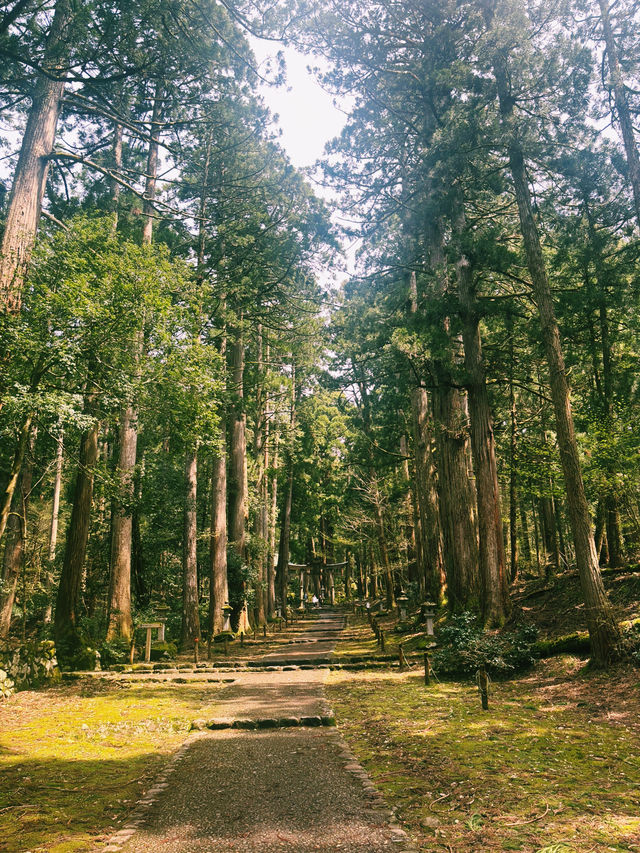平泉寺 白山神社：靜謐的精神聖地