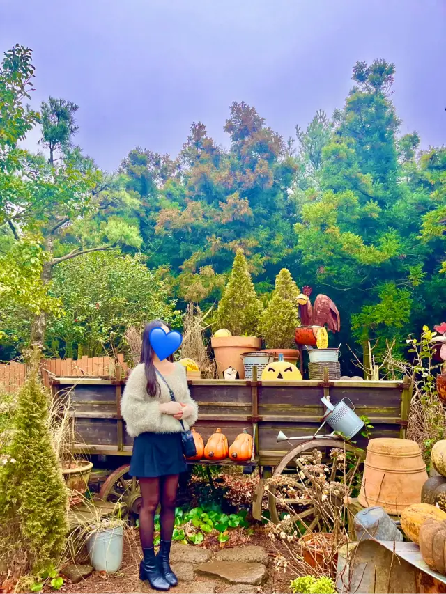 在濟州遇見特別的一天，史努比花園＆騎馬體驗 