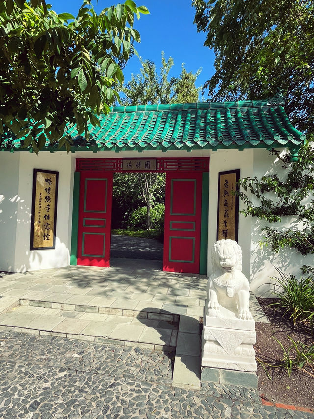 🇳🇿紐西蘭必訪 · 漢米爾頓花園｜一座活的園林藝術博物館 🌿✨
