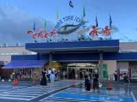日本ToreTore市場南紀白浜