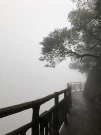 Gui Lin—One of China’s Top Ten Scenic Spots🏞️