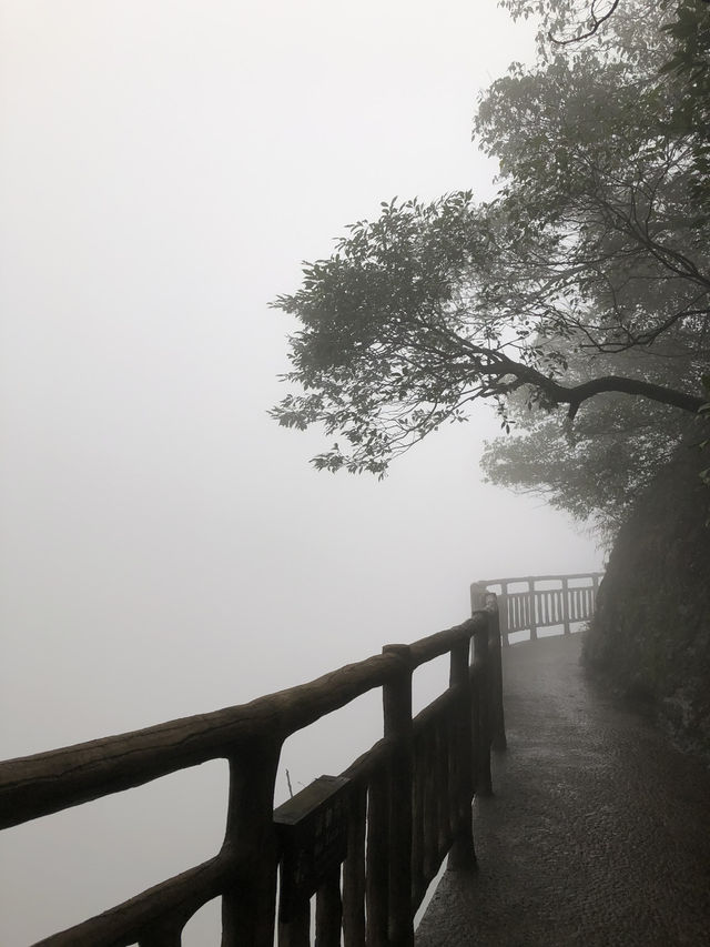 Gui Lin—One of China’s Top Ten Scenic Spots🏞️ Gui Lin—One of China’s Top Ten Scenic Spots🏞️