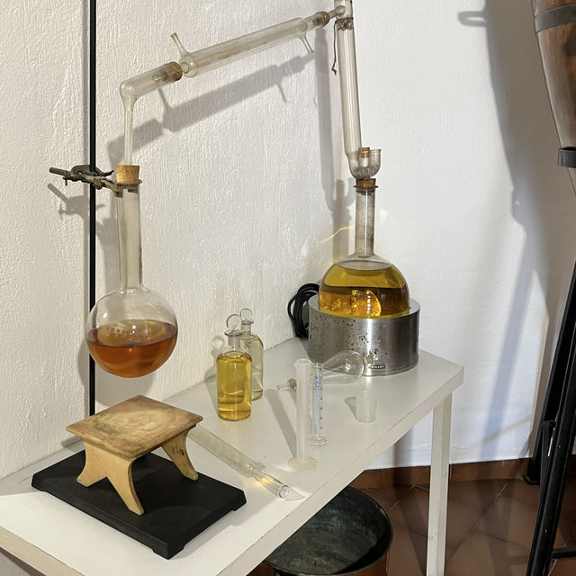 🇫🇷法國埃茲-Fragonard factory and cosmetic laboratory 🪻🌸
