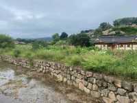 Yangdong Folk Village,