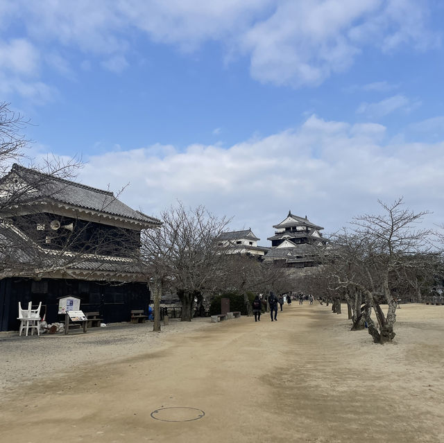 【愛媛/松山🇯🇵】17世紀のお城の復元🏯松山城