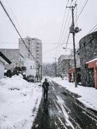 พาไปลุยหิมะที่ Hokkaido Jingu