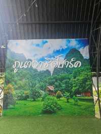ภูนาวาซิตี้ปาร์ค เขาสก