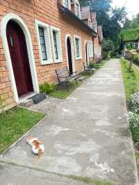āļāļĩāđāļāļąāļāļāļĩāļĨāļāļĩ āđāļāļĩāļĒāļāļŠāļāļ Bibery Resort  āļŠāļ§āļāļāļķāđāļ