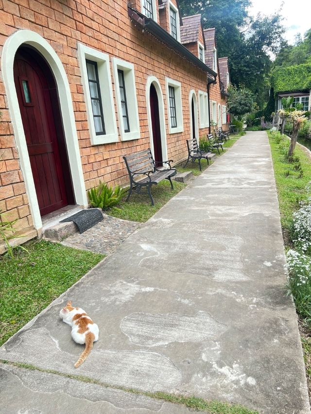 āļāļĩāđāļāļąāļāļāļĩāļĨāļāļĩ āđāļāļĩāļĒāļāļŠāļāļ Bibery Resort  āļŠāļ§āļāļāļķāđāļ āļāļĩāđāļāļąāļāļāļĩāļĨāļāļĩ āđāļāļĩāļĒāļāļŠāļāļ Bibery Resort  āļŠāļ§āļāļāļķāđāļ