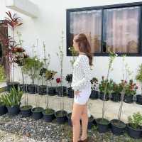 บ้านจันทร์ฉาย Baan Janchai Restaurant and Wine